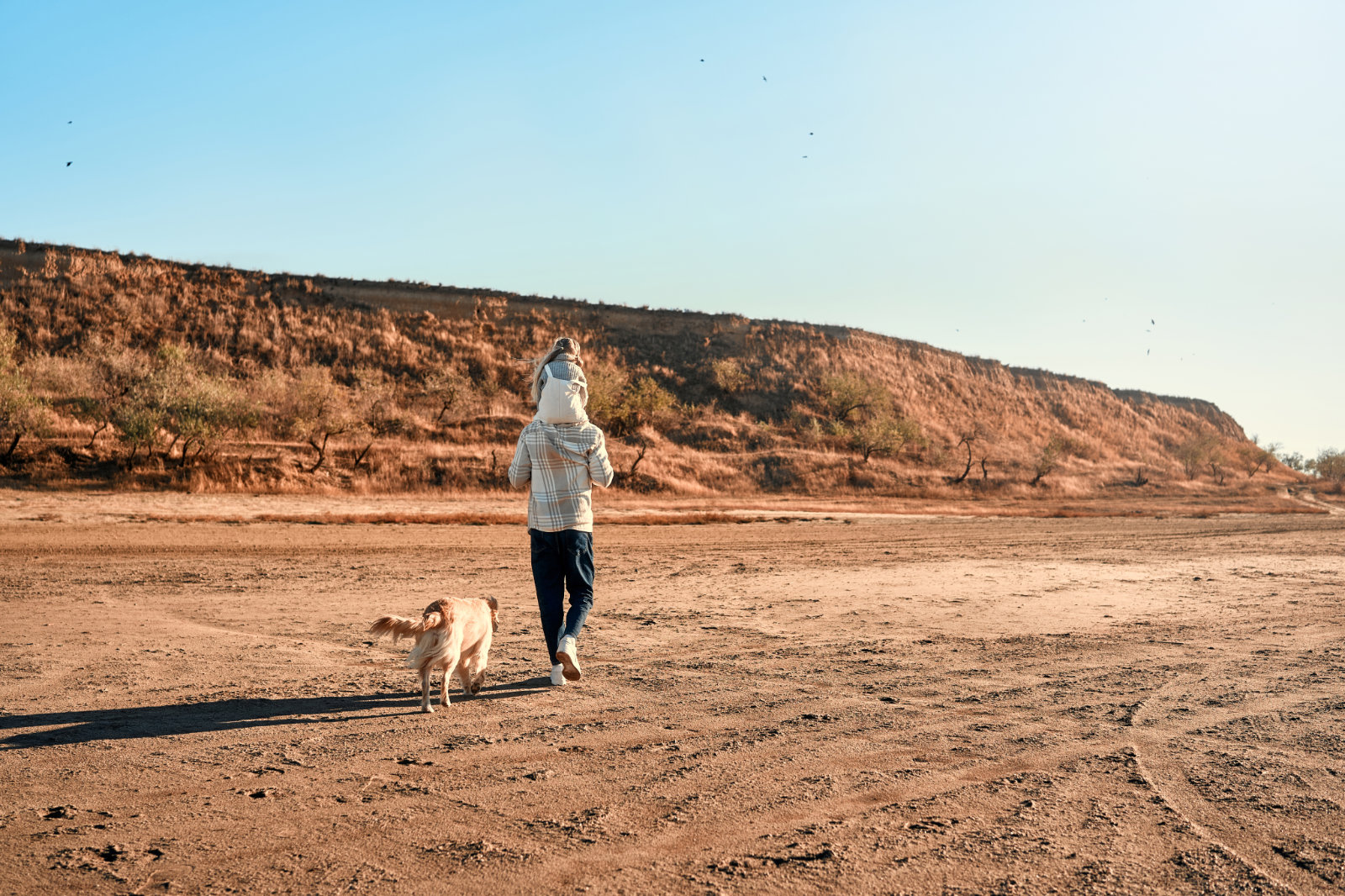 Residential Treatment - Vanguard Behavioral Health